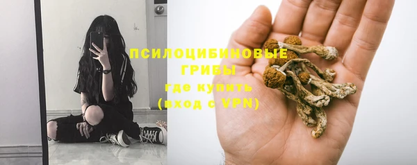 прущая мука Алзамай