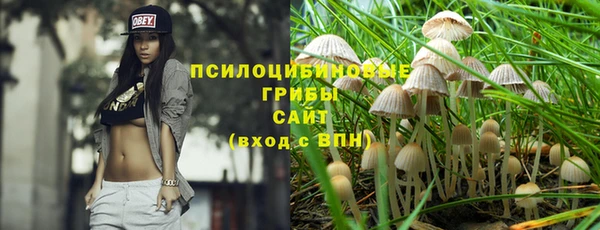 прущая мука Алзамай