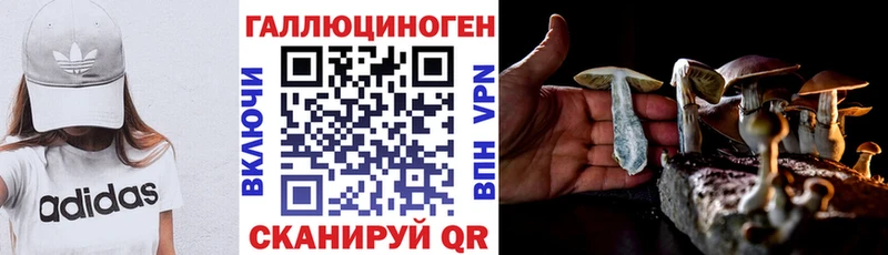 сколько стоит  MEGA ТОР  Псилоцибиновые грибы ЛСД  Ахтубинск 