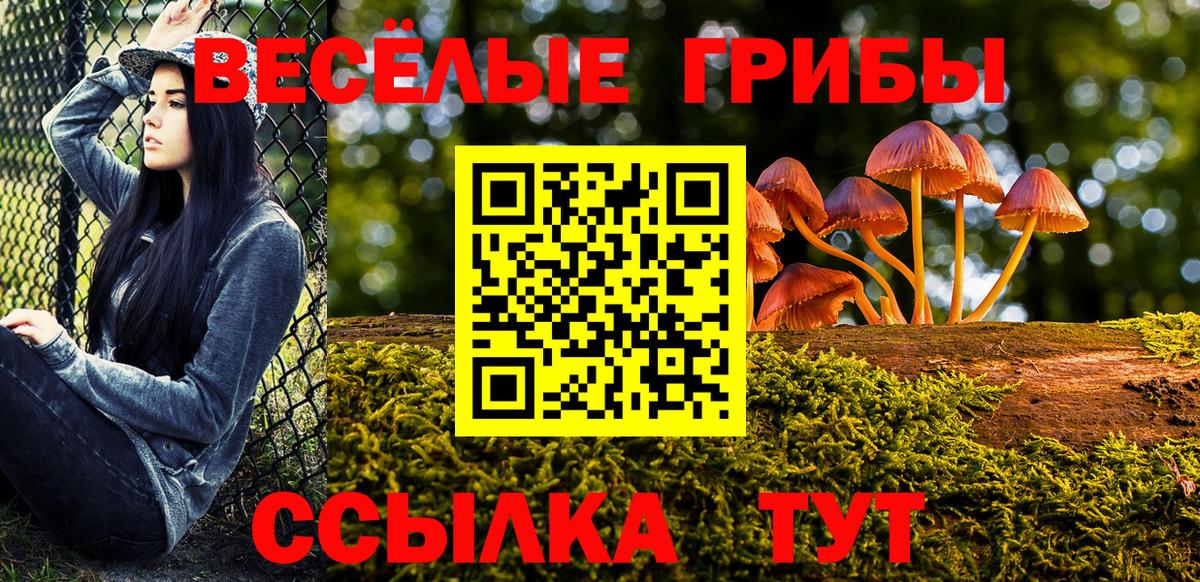 Псилоцибиновые грибы Psilocybine cubensis Ахтубинск